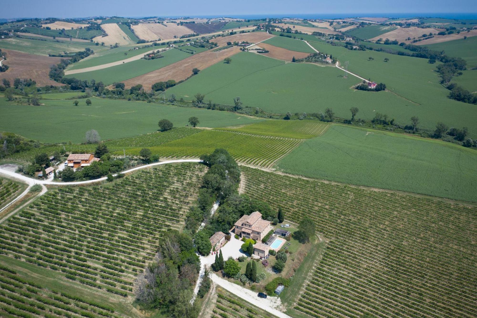 La Vita Nuova Appartements - Appart B&B Morro dʼAlba Exteriér fotografie